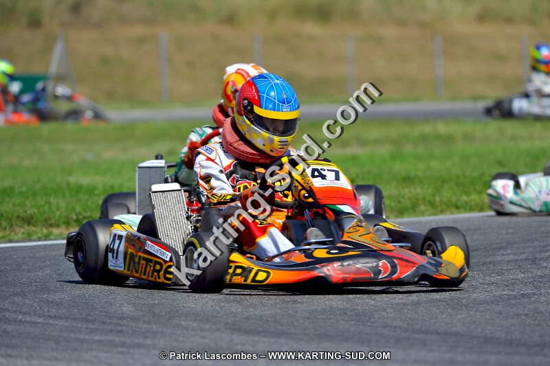 DSC_ (1409).jpg